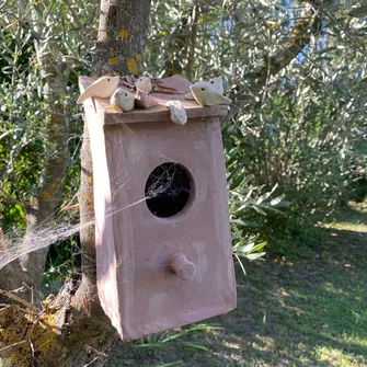 Aidez les oiseaux en hiver