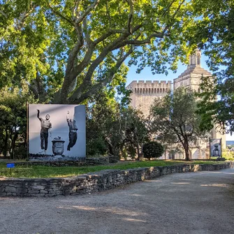 Côté Jardin Jean Vilar et Avignon, promenade photographique au Jardin des Doms