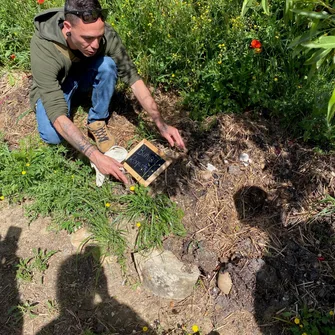 Découverte des plantes sauvages comestibles