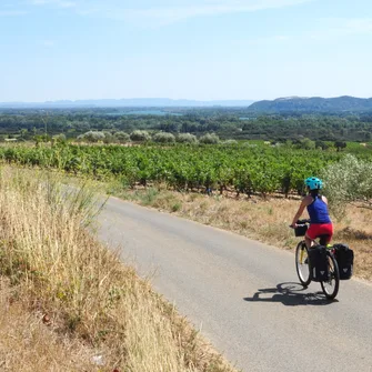 EV17 – ViaRhôna à vélo – Étape 18 – Caderousse > Avignon