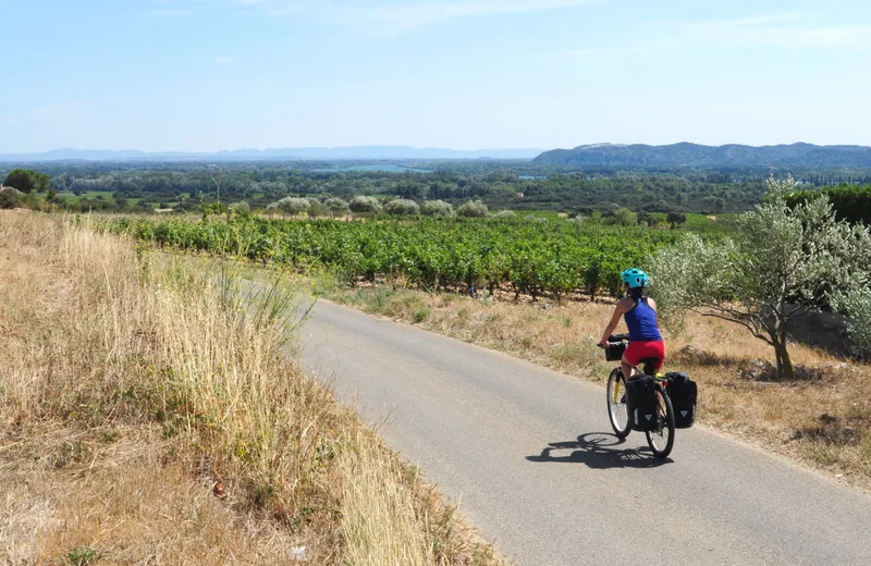 EV17 – ViaRhôna à vélo – Étape 18 – Caderousse > Avignon