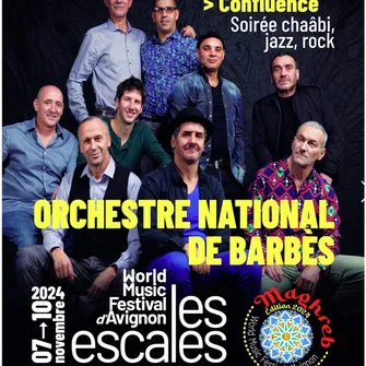 Orchestre National de Barbès en concert