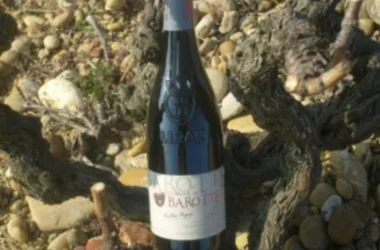 Domaine de la Barotte