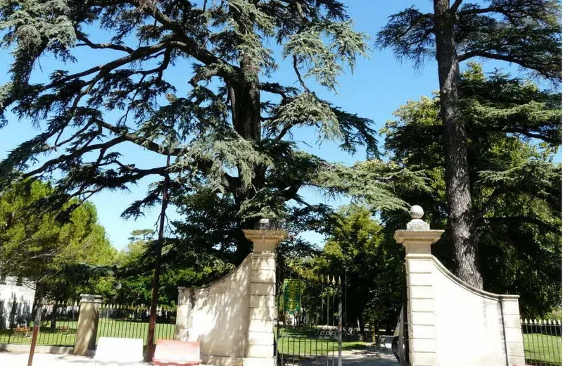 Parc de la Cantonne