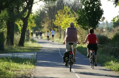 ViaRhôna à vélo – Étape 19 – Avignon > Beaucaire