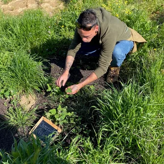 Découverte des plantes sauvages comestibles