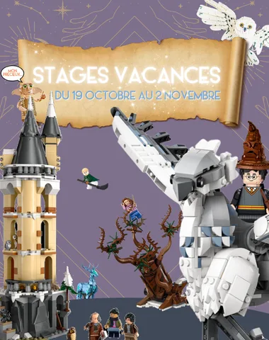 Stages vacances LEGO®️