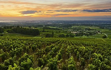 Les Routes Touristiques des Côtes du Rhône