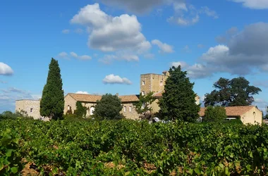 Vignobles des Templiers – Château d’Aiguilhon