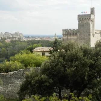 Visite libre de la Tour Philippe-le-Bel