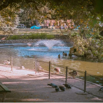 Le jardin du Rocher des Doms