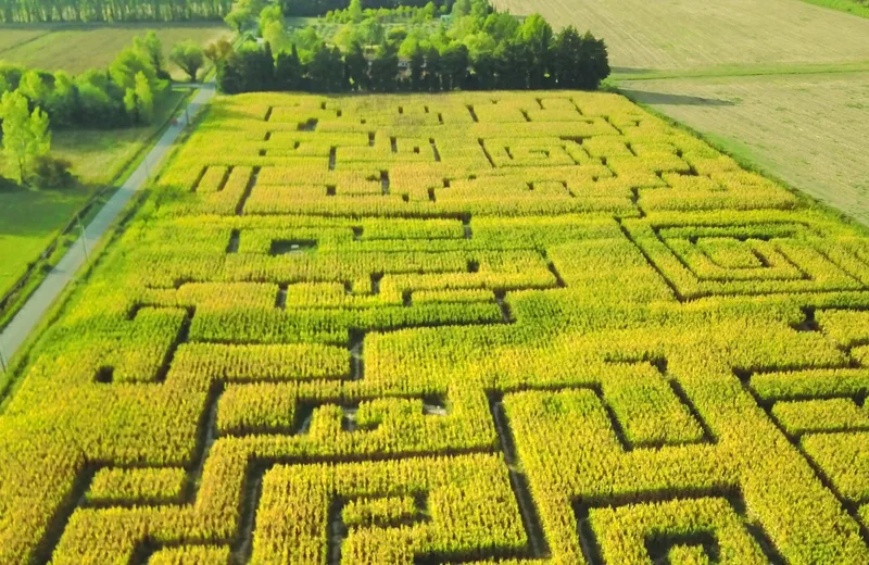 Labyrinthe les Hautes Herbes