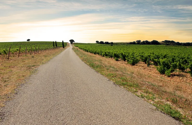 Route des Vins – itinéraire Azur des Côtes du Rhône