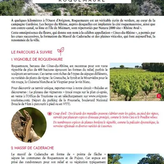 Balade & Découverte – Le plateau des vignerons