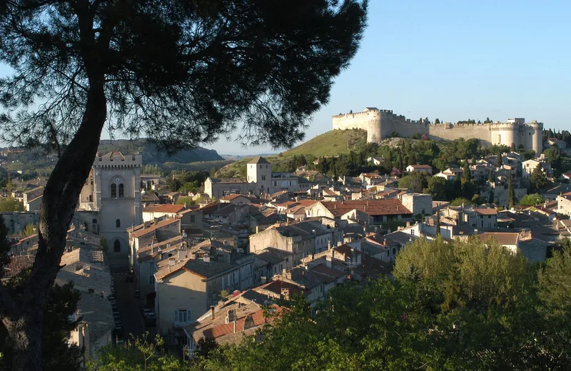 Il était une fois Villeneuve lez Avignon : histoire des frontières à Villeneuve