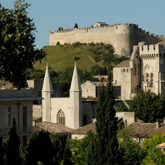 Visite guidée du beffroi de la Collégiale