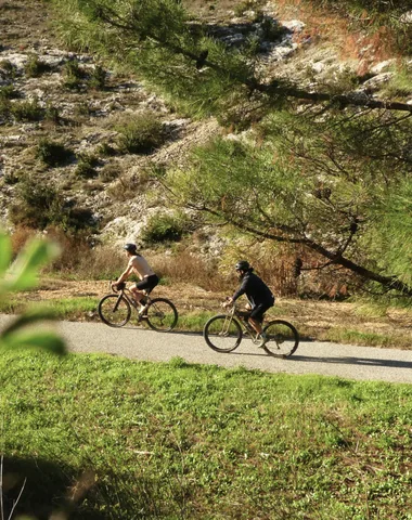 La Côte du Rhône-balade à vélo-54