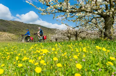 ViaRhôna (EV17) – Du Léman à la Méditerranée à vélo en 17 jours