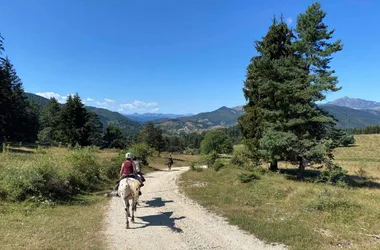 LE CHEVAL PAR NATURE