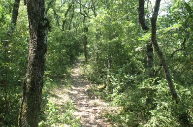 Le Chemin de ronde