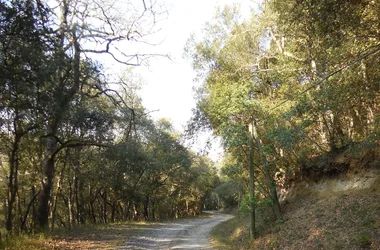 Circuit de la Malepère