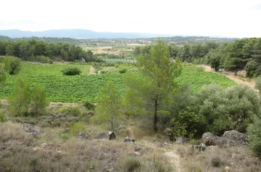 Les capitelles – Chemin de la Guinette