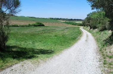 Circuit de la Malepère