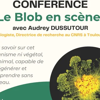 CONFERENCE : LE BLOB EN SCENE