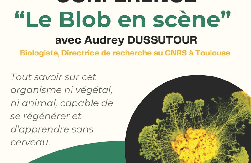 CONFERENCE : LE BLOB EN SCENE