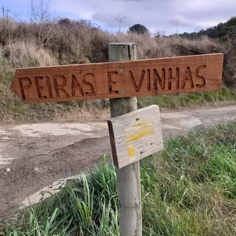 Péiras e Vinhas