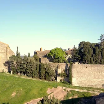 PETIT GITE DU CHATEAU DE PUICHERIC