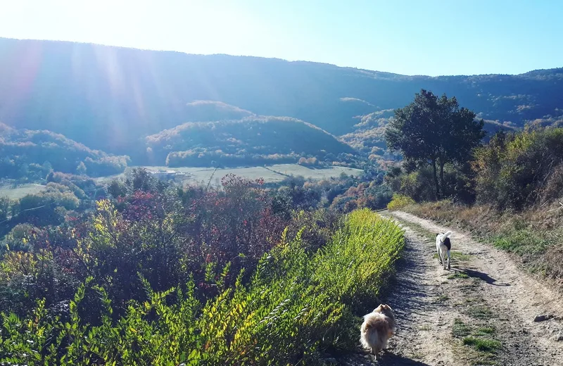 SENTIER EN POÉSIE – JOSEPH DELTEIL