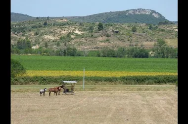 GITE FERME EQUESTRE LE PLO