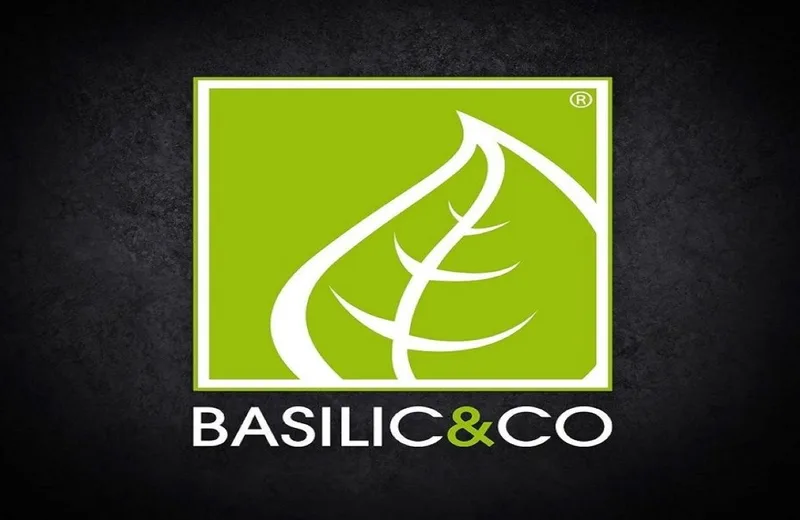 basilic and co carcassonne
