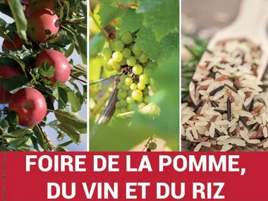 FOIRE DE LA POMME, DU VIN ET DU RIZ