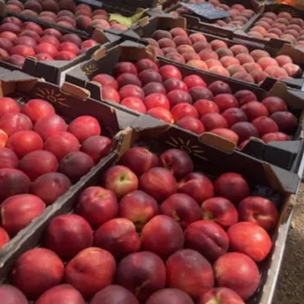 MARCHÉ LOCAL EN FIN DE JOURNÉE