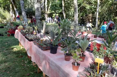 4ÈME FESTIVAL DES PLANTES EN MONTAGNE NOIRE