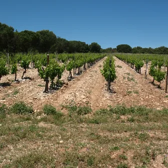 De regord à la Combe Obscure