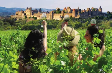 BALADES VIGNERONNES EN GRAND CARCASSONNE – CHÂTEAU DE PENNAUTIER