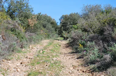 P-Boucle de Villeneuve-Minervois (6)