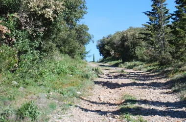 P-Boucle de Villeneuve-Minervois (8)