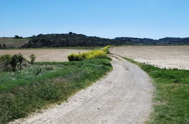 Circuit de la Malepère