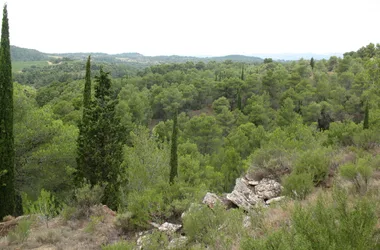 Les capitelles – Route des Arques