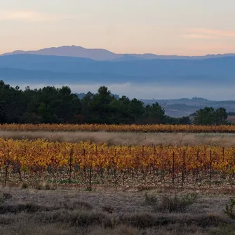 DOMAINE DE CABROL