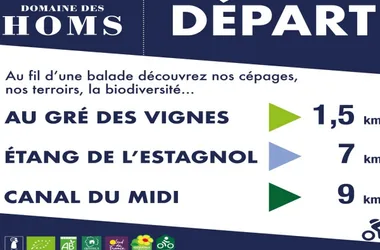 BALADES AU GRE DES VIGNES – DOMAINE DES HOMS