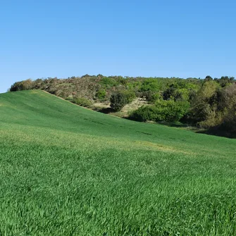 Du sentier des traces…aux pas des pèlerins