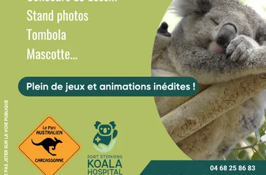 JOURNÉE KOALA AU PARC AUSTRALIEN