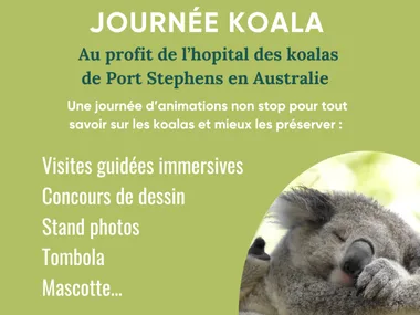 JOURNÉE KOALA AU PARC AUSTRALIEN