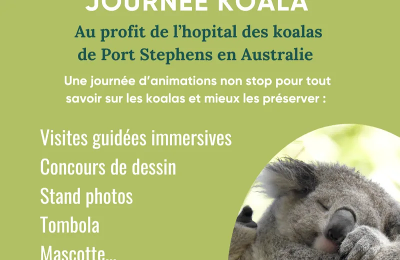 JOURNÉE KOALA AU PARC AUSTRALIEN