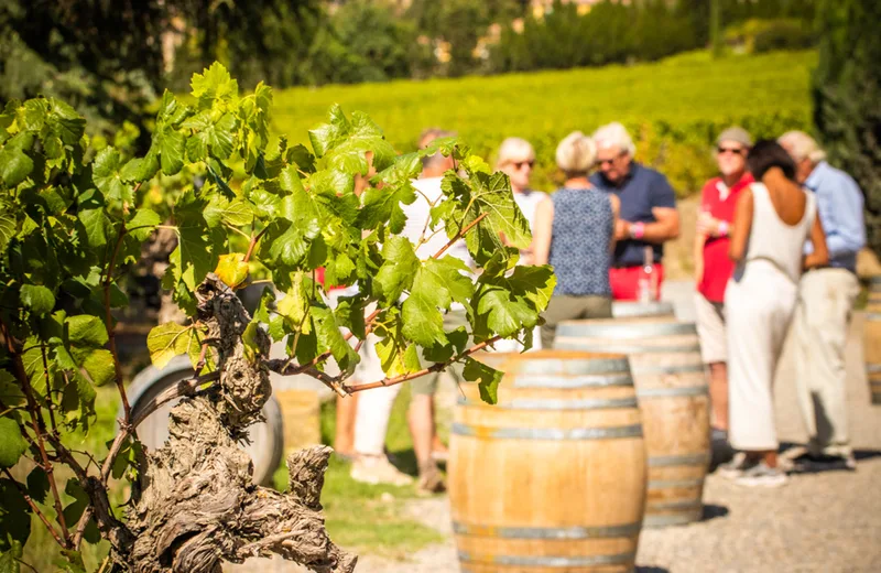 BALADES VIGNERONNES EN GRAND CARCASSONNE – CHÂTEAU GUILHEM